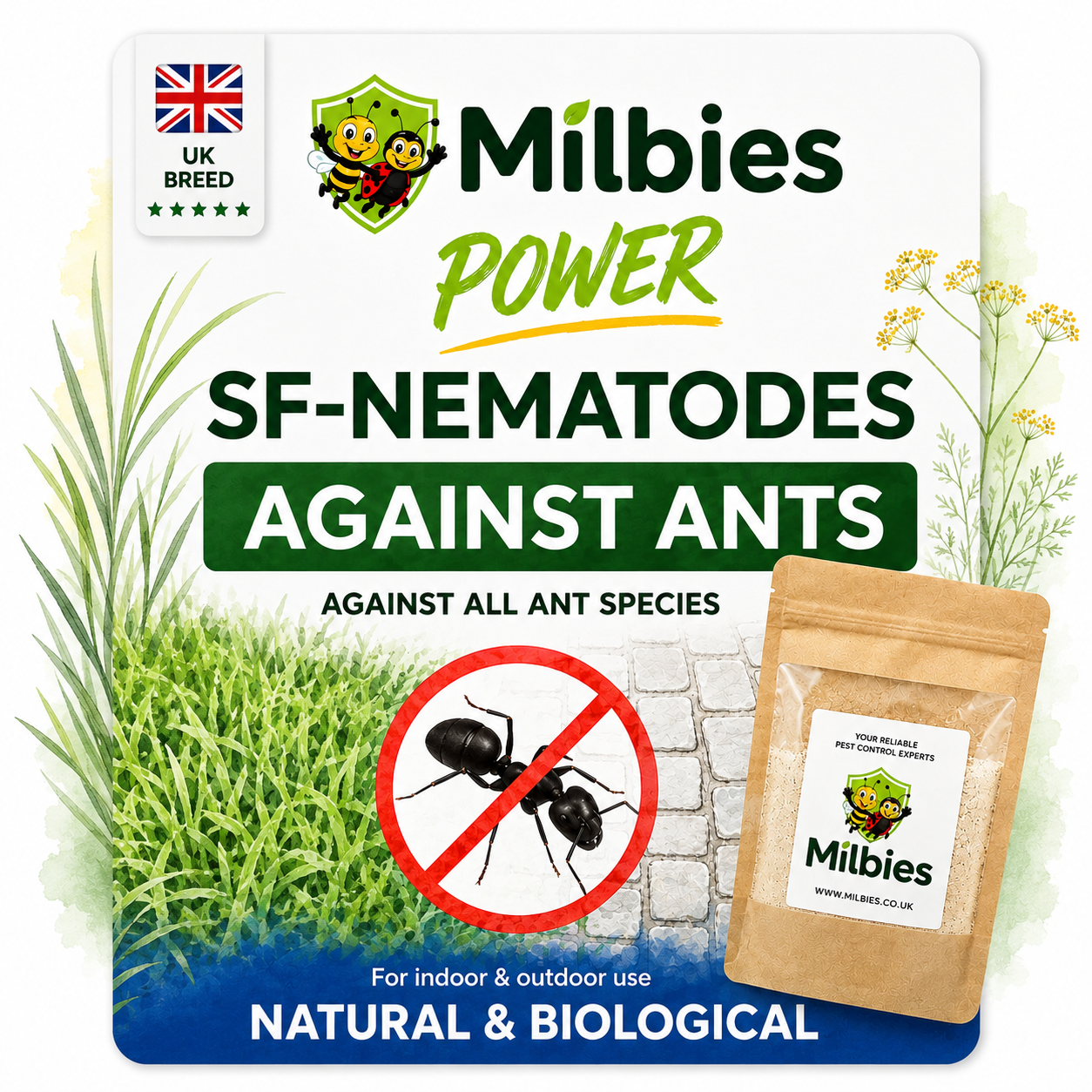 Ant Nest Nematodes