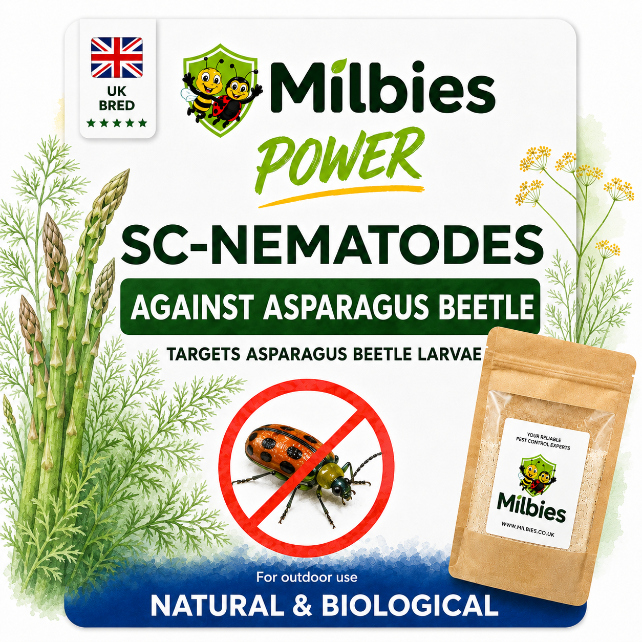 Asparagus Beetle Nematodes