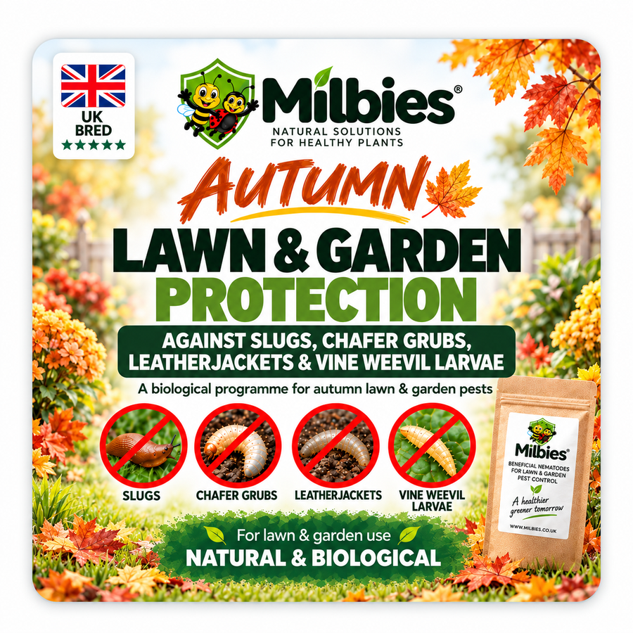 Autumn Lawn & Garden Protection