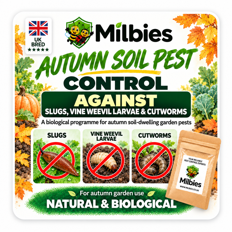 Autumn Soil Pest Control