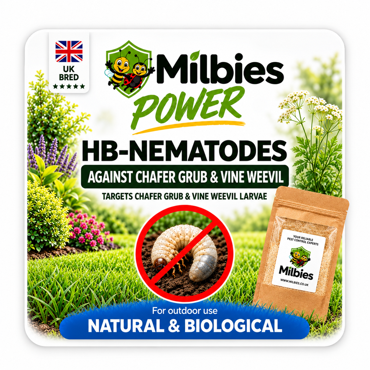 2-in-1 Chafer Grub & Vine Weevil Lawn Nematodes