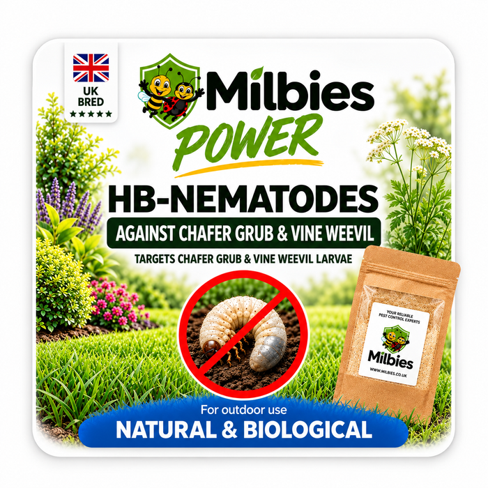 2-in-1 Chafer Grub & Vine Weevil Lawn Nematodes