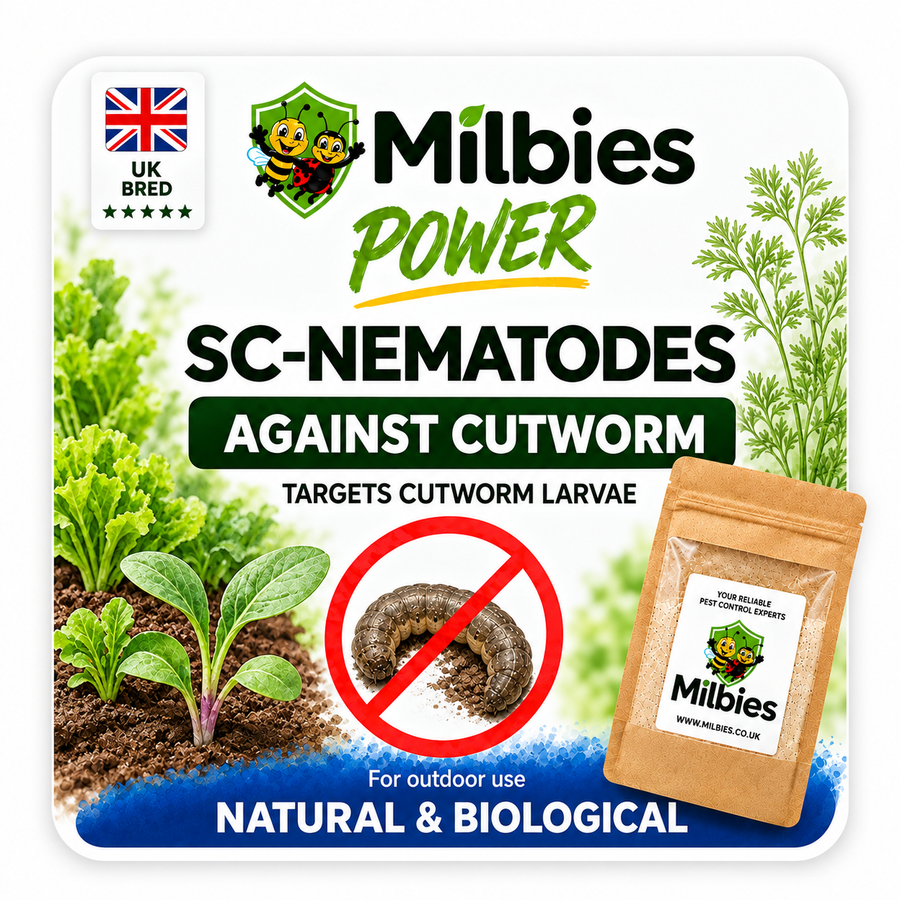 Cutworm Nematodes