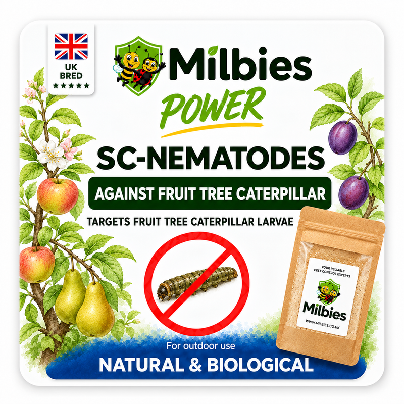 Fruit Tree Caterpillar Nematodes
