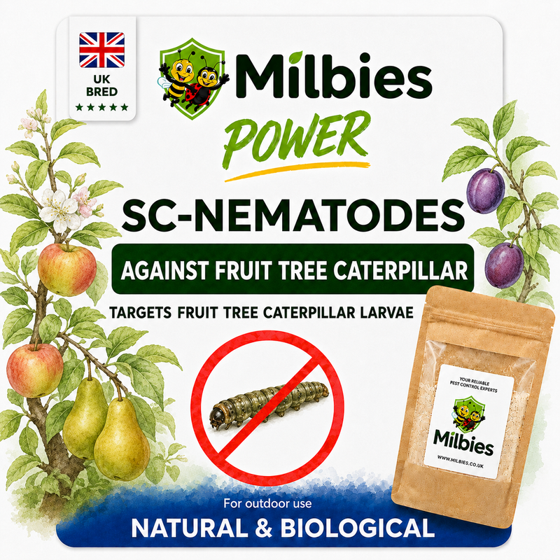 Fruit Tree Caterpillar Nematodes