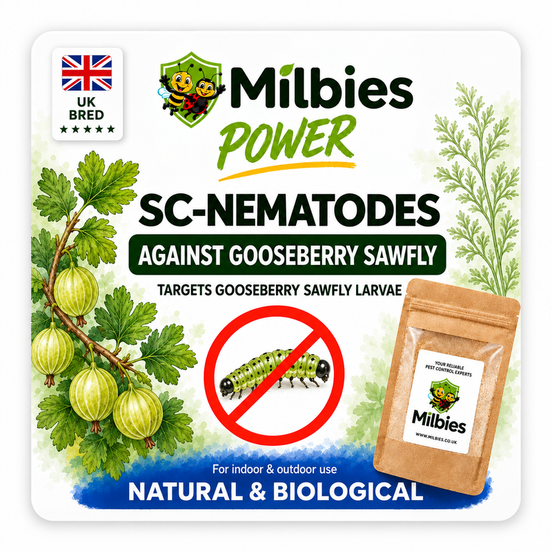 Gooseberry Sawfly Nematodes