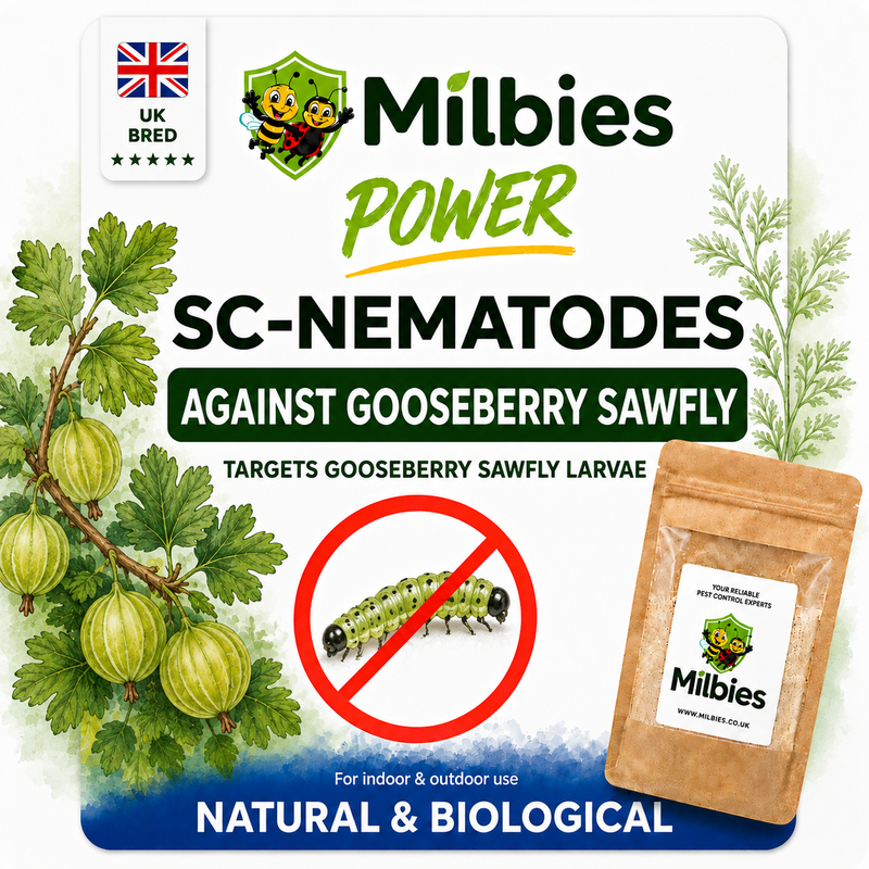 Gooseberry Sawfly Nematodes