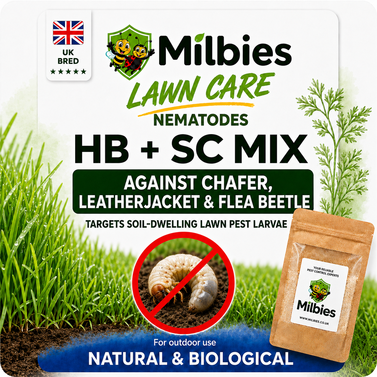 Lawn Care Nematodes