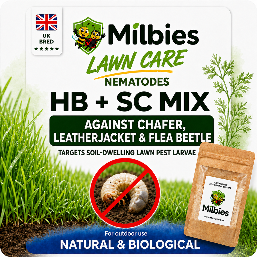 Lawn Care Nematodes
