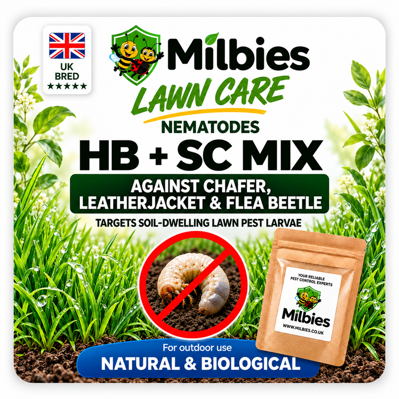 3-in-1 Lawn Care Nematodes