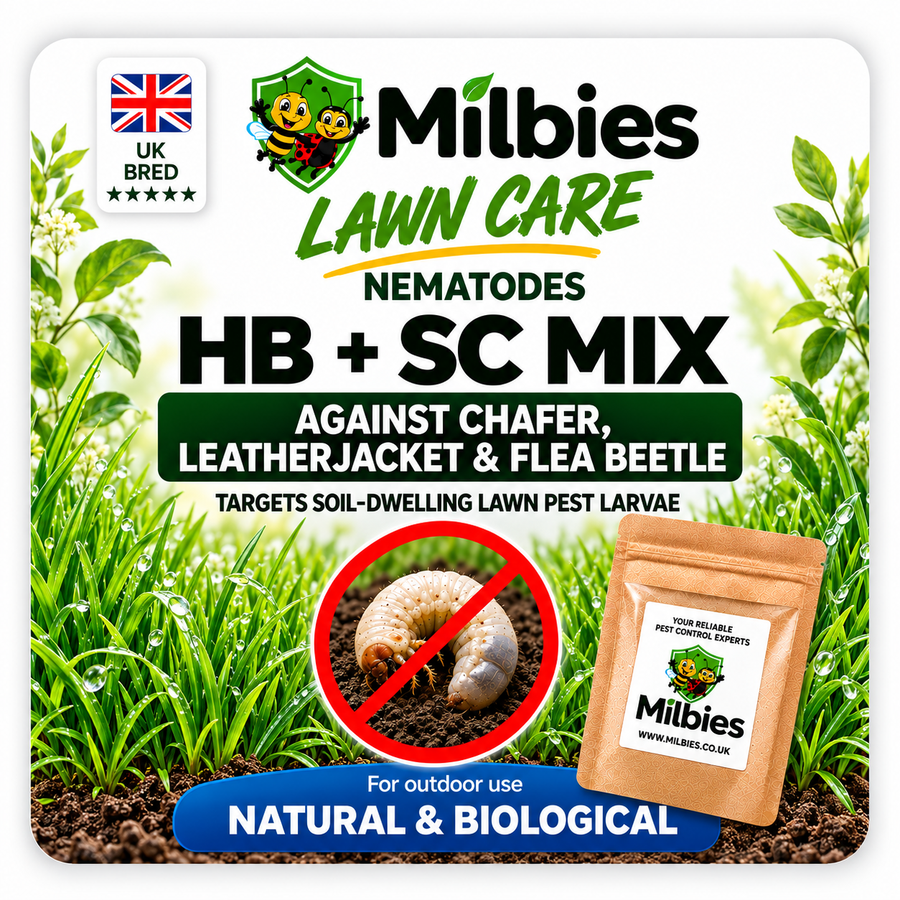 Professional 3-in-1 Lawn Care Nematodes