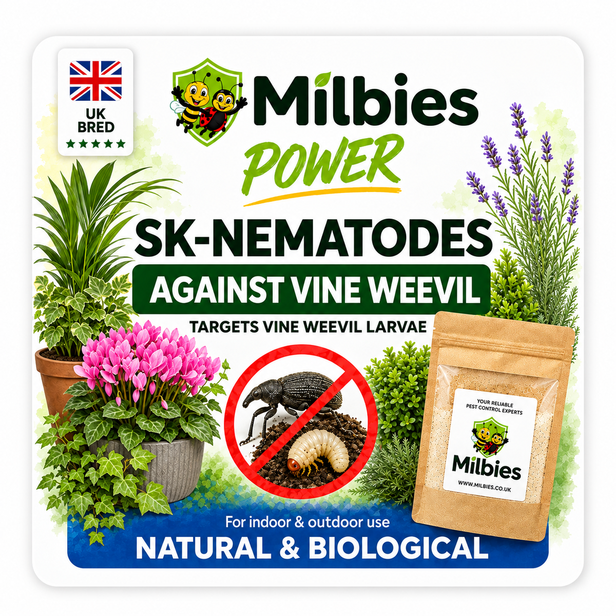 Low Temperature Vine Weevil Nematodes