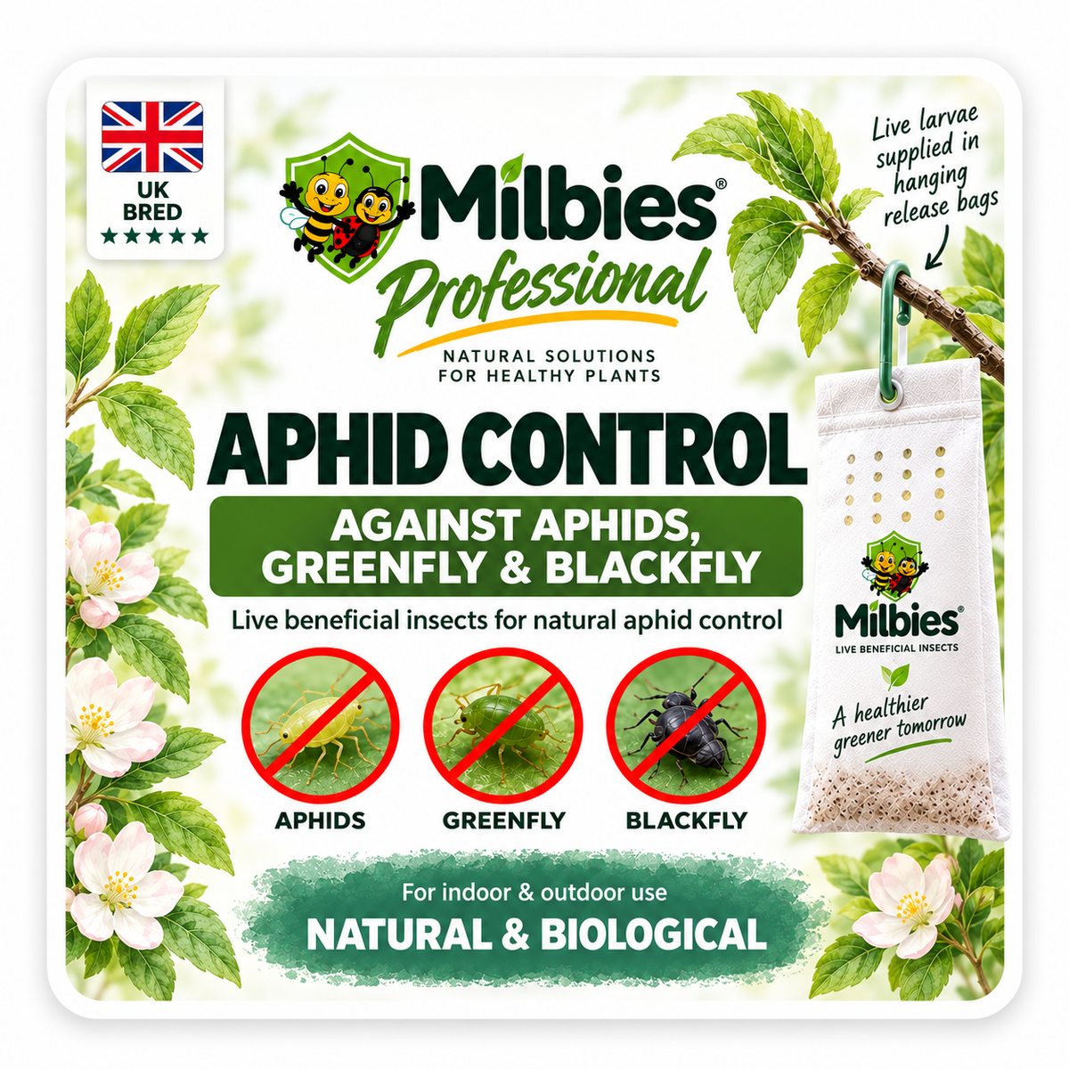 Professional Aphid Control