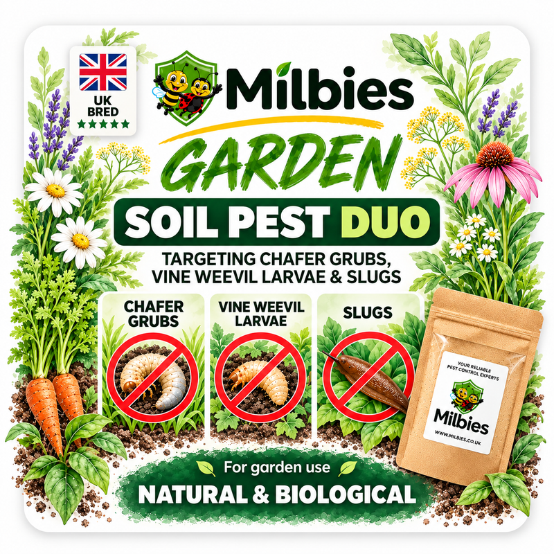 Garden Soil Pest Duo