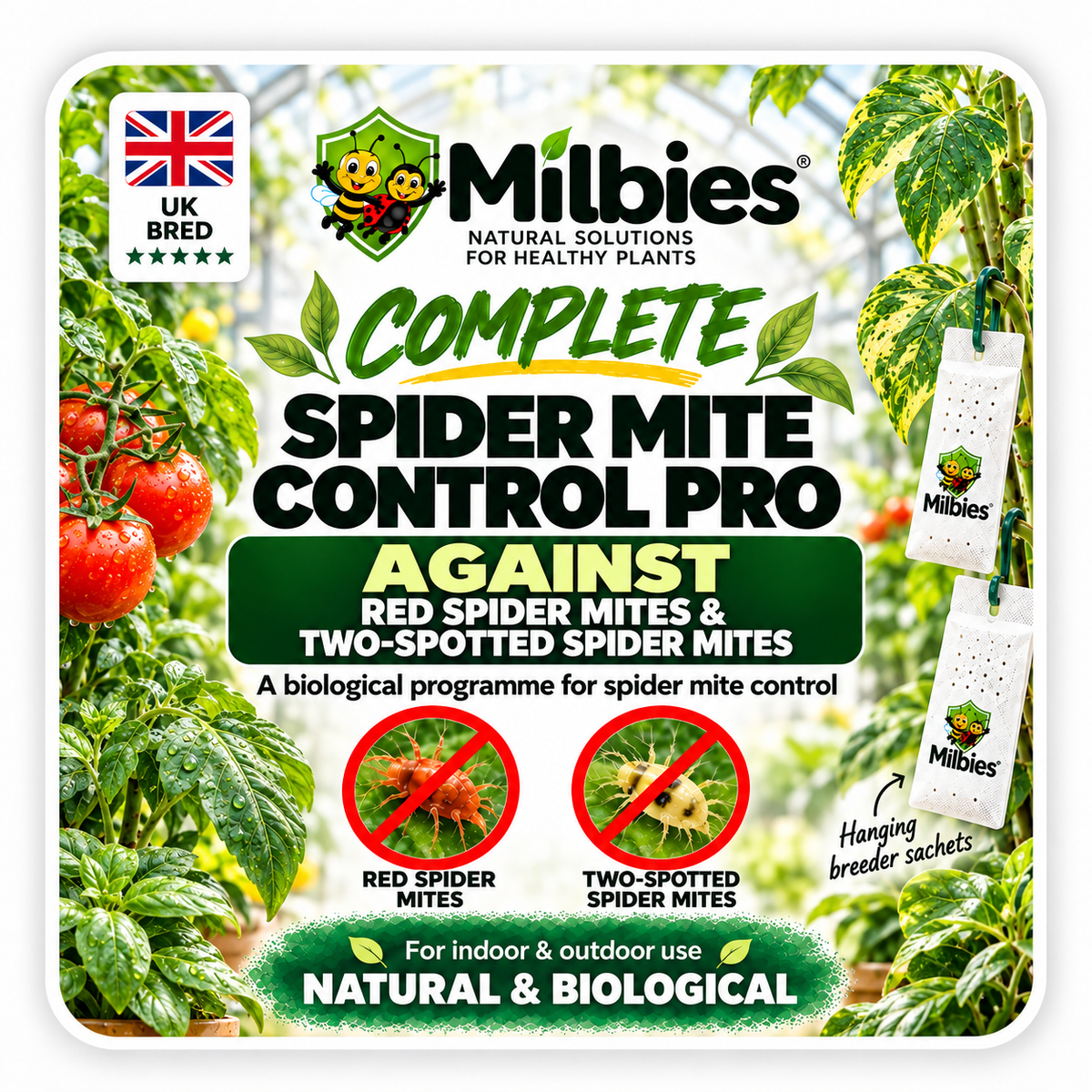 Complete Spider Mite Control Pro