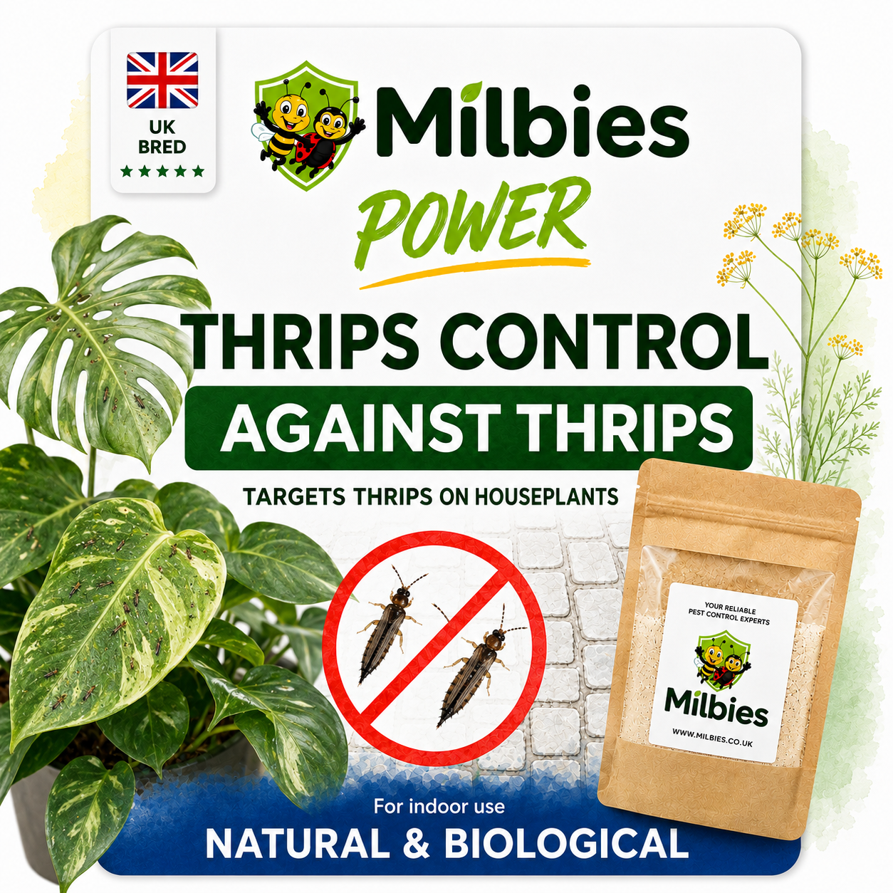 Thrips Control