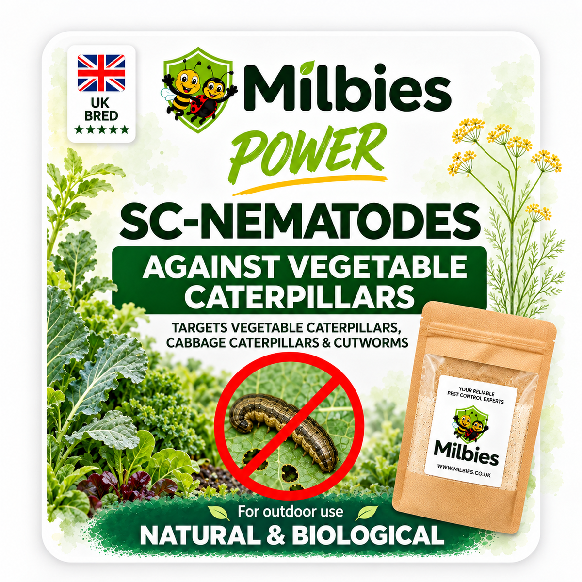 Vegetable Caterpillar Nematodes