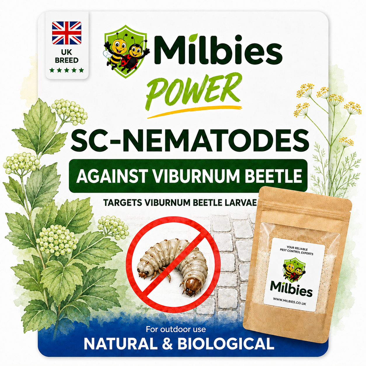 Viburnum Beetle Nematodes