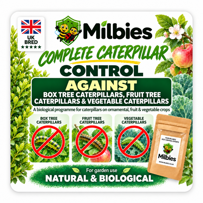 Complete Caterpillar Control