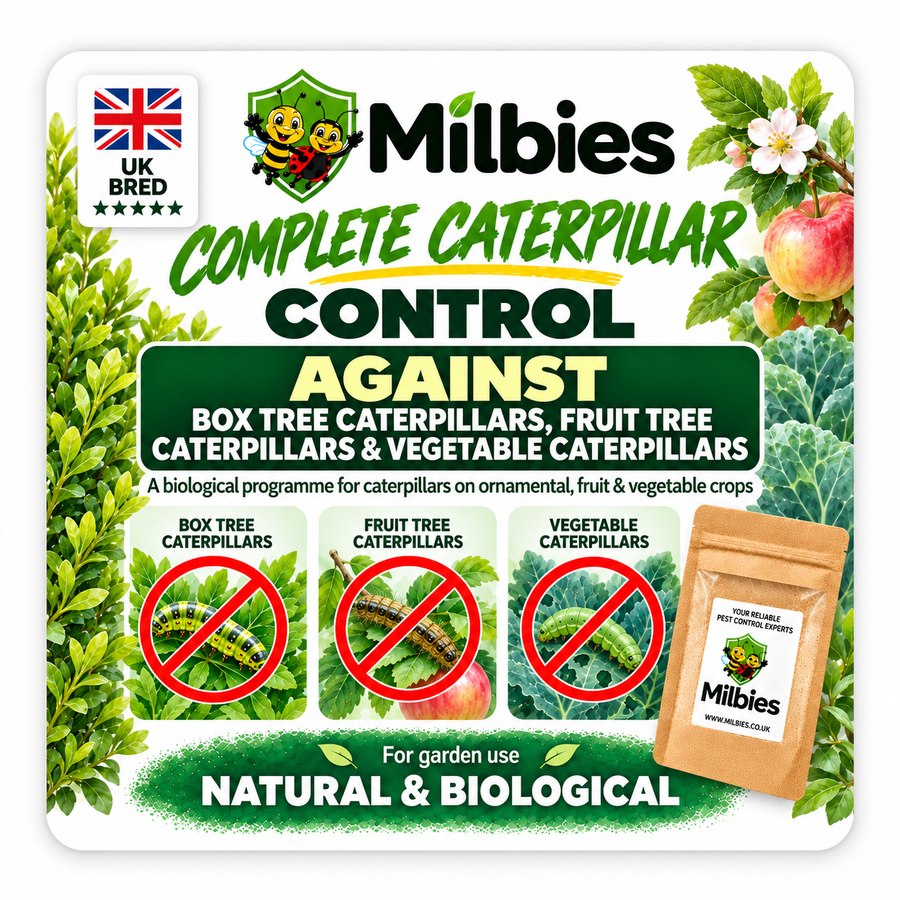 Complete Caterpillar Control