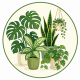 Indoor & Houseplants